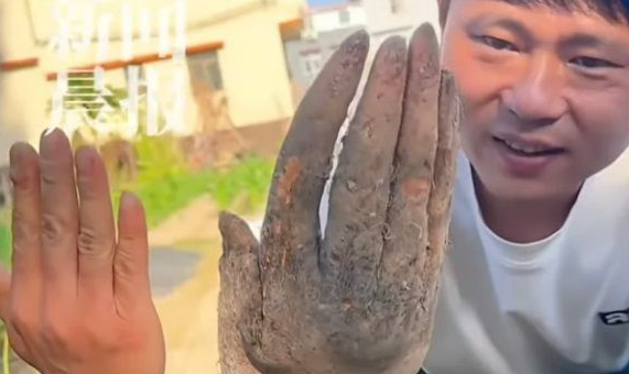 실물 이미지 - 중국 농부가 밭에서 발견한 '손 모양 참마'에 전 세계가 소름 돋는 이유