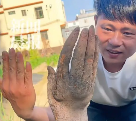 실물 이미지 - 중국 농부가 밭에서 발견한 '손 모양 참마'에 전 세계가 소름 돋는 이유