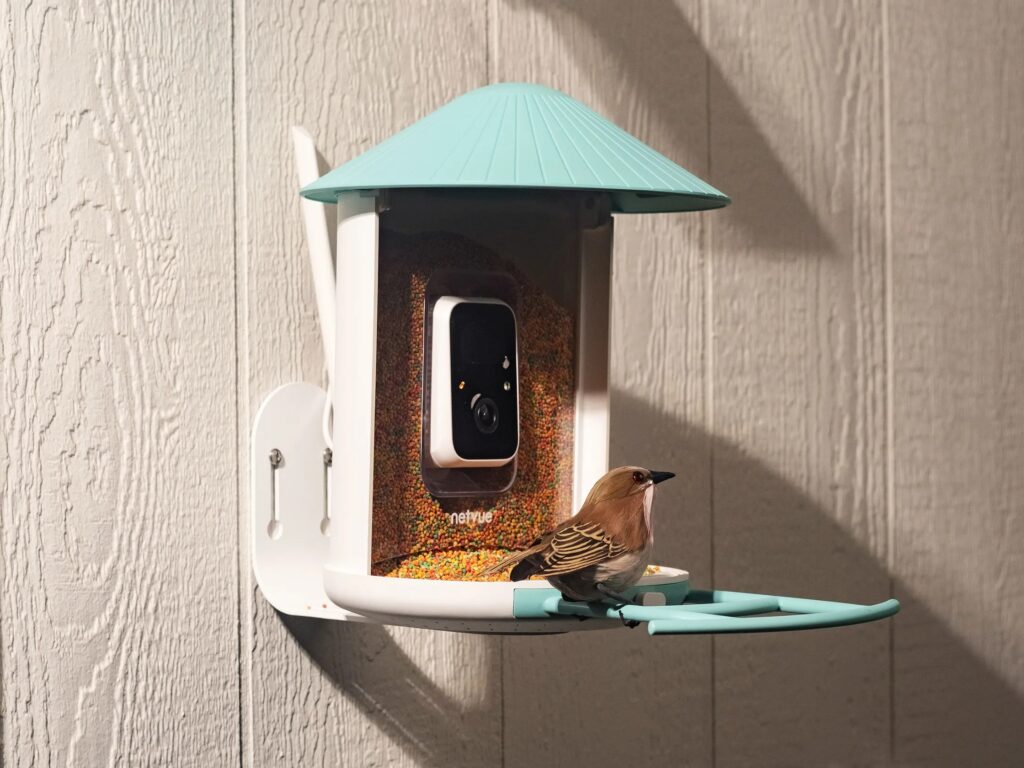Birdfy AI 새 모이통 역대 최저가 근접 — 태양광·카메라 기능, 한국에서도 쓸 만할까?