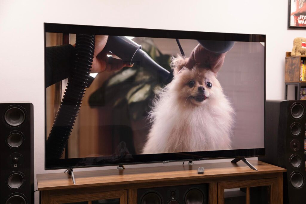 LG RGB LED TV vs OLED, 어떤 상황에서 무엇을 골라야 할까